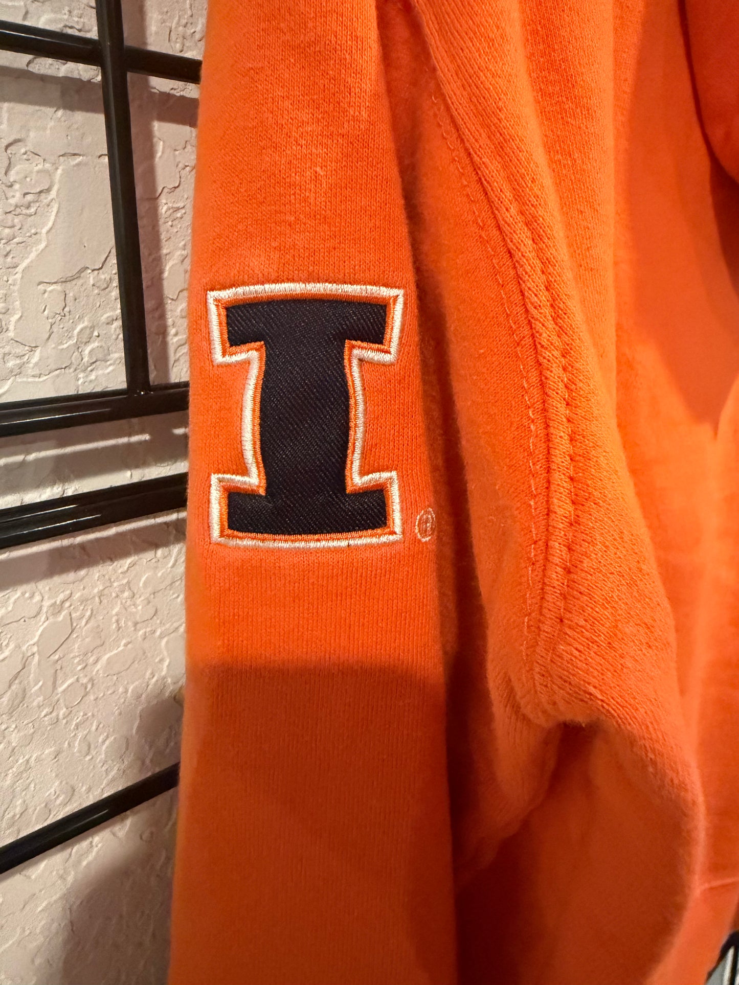 Embroidered University Of Illinois Hoodie - L