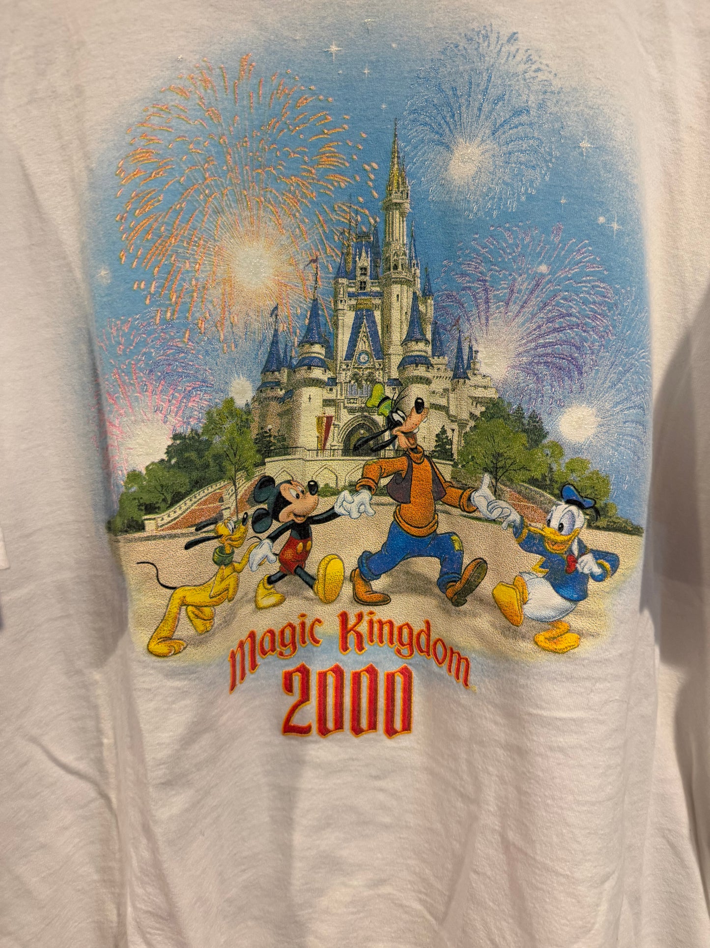 2000’s Disney Magic Kingdom - XL