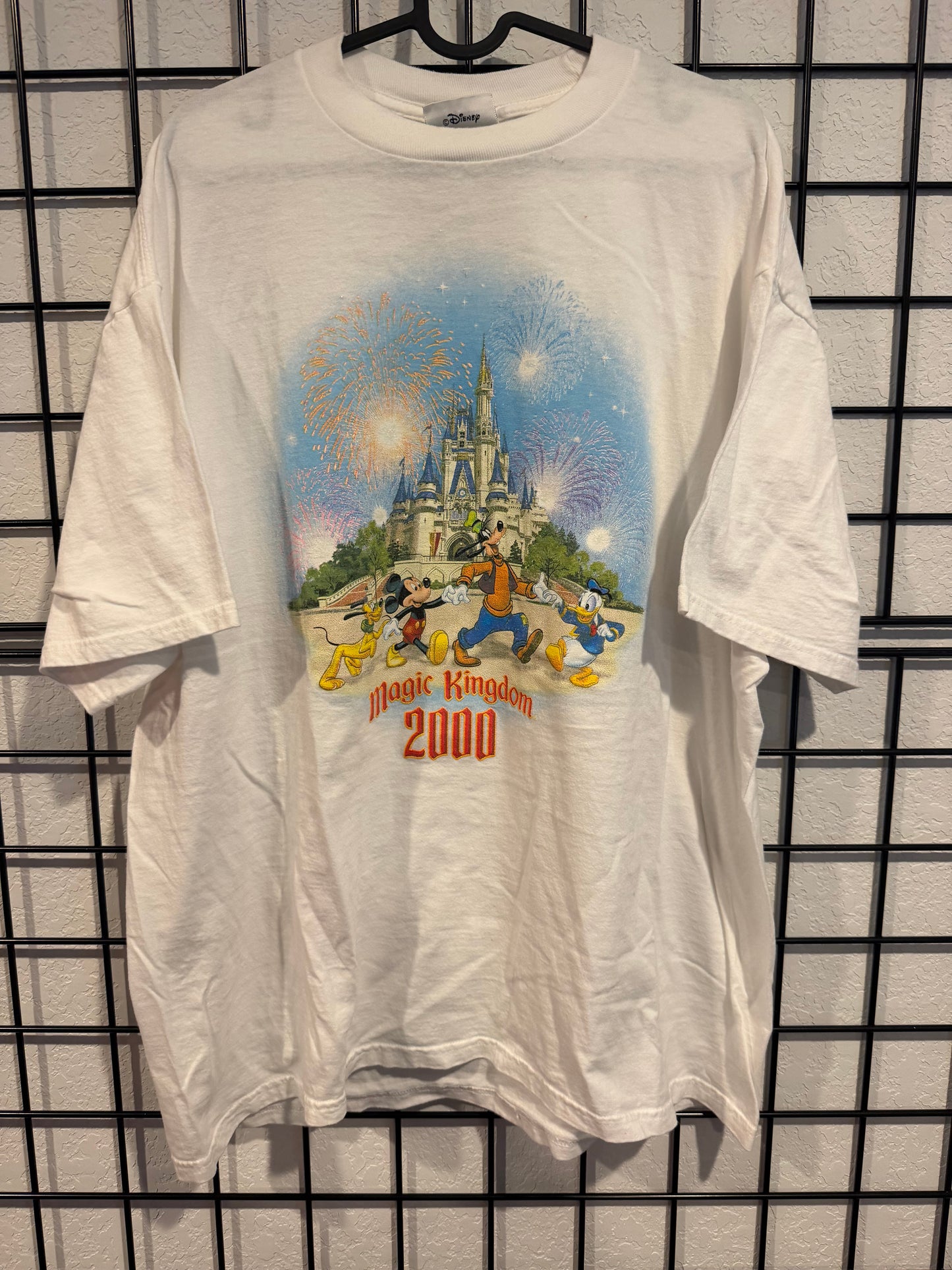 2000’s Disney Magic Kingdom - XL